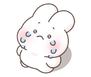Video sticker 😭 Couple Bunny @fixfox
