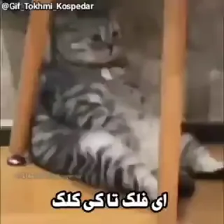 Video sticker 💔 @reza_HONDA 👈🏻بیو چک