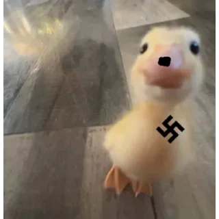 Telegram stiker 🌼 DumbAss Duck🦆