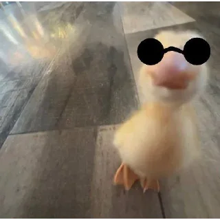 Telegram stiker 🌺 DumbAss Duck🦆