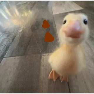 Video sticker 🙂 DumbAss Duck🦆