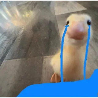 Telegram stiker 💐 DumbAss Duck🦆