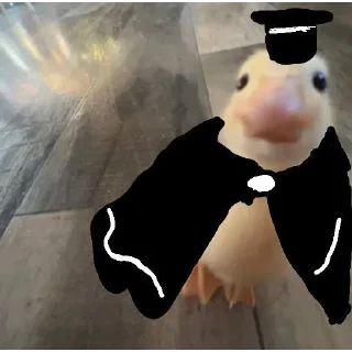 Video sticker 💐 DumbAss Duck🦆