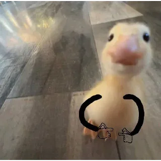 Telegram stiker 🍀 DumbAss Duck🦆
