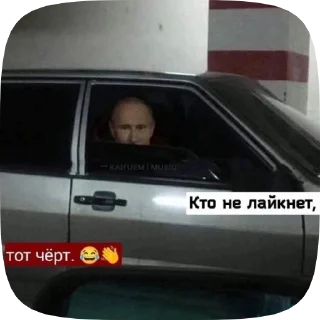 Video sticker 😎 @chat_armenia :: @fStikBot