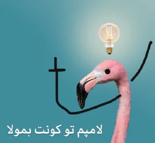 Sticker 😐 فلامینگویه بقن