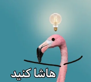 Video sticker 😐 فلامینگویه بقن