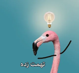 Video sticker 😐 فلامینگویه بقن