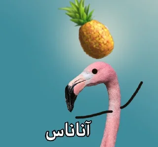 Telegram sticker 😐 فلامینگویه بقن