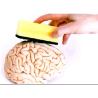 Telegram sticker 🧠 Моя изба-насральня