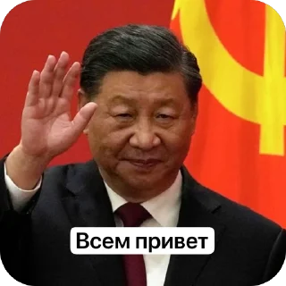 Video sticker 🫥 Си Цзиньпин