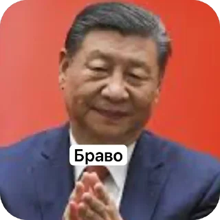 Telegram sticker 🫥 Си Цзиньпин