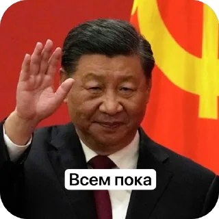 Video sticker 🫥 Си Цзиньпин