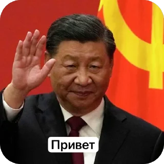 Sticker 🫥 Си Цзиньпин