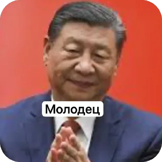 Telegram sticker 🫥 Си Цзиньпин