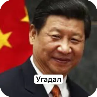 Telegram sticker 🫥 Си Цзиньпин