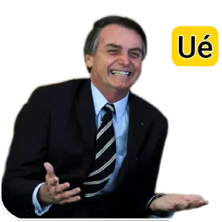 Video sticker ✋ 🇧🇷 Bolsonaro 2026 - @saude_foco, @radin_chan