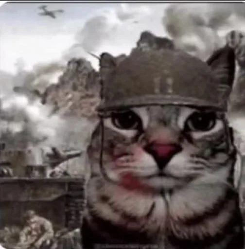 Sticker 😎 Yohohohohohohoho :: @fStikBot