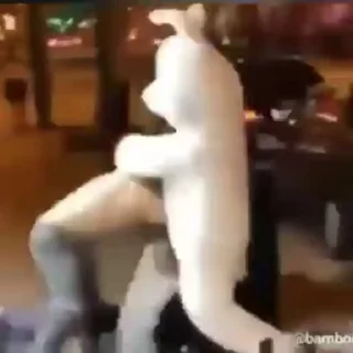 Video sticker 😁 Yohohohohohohoho :: @fStikBot