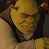 Video sticker 😵 Shrek @ven0mych