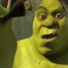 Video sticker 🪥 Shrek @ven0mych