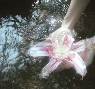 Video sticker 🌟 𝘈𝘦𝘴𝘵𝘩𝘦𝘵𝘪𝘤 🌷🦢  [ @whoisme333 ]