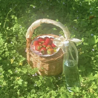 Telegram sticker 🌟 𝘈𝘦𝘴𝘵𝘩𝘦𝘵𝘪𝘤 🌷🦢  [ @whoisme333 ]