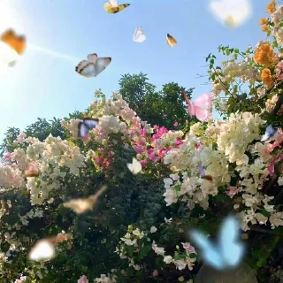 Telegram sticker 🌟 𝘈𝘦𝘴𝘵𝘩𝘦𝘵𝘪𝘤 🌷🦢  [ @whoisme333 ]