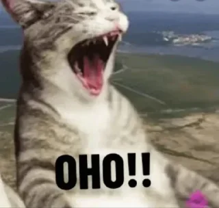 Video sticker 🙈 CHOMU billi 😼 @Itz_Eliana :: @fStikBot