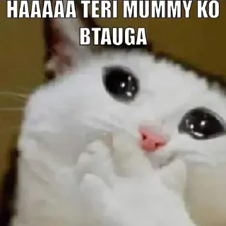 Telegram sticker 😝 CHOMU billi 😼 @Itz_Eliana :: @fStikBot