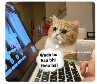 Sticker 😂 CHOMU billi 😼 @Itz_Eliana :: @fStikBot