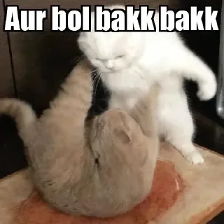 Telegram sticker 😂 CHOMU billi 😼 @Itz_Eliana :: @fStikBot