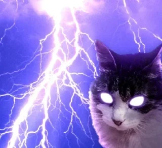 Telegram sticker 🐹 Momazos Hamsters 🐹 :: @fStikBot