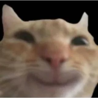 Sticker 😍 Киски