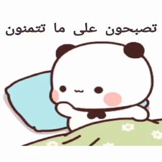 Video sticker 😴 🌹•••🌹