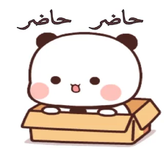 Video sticker 👍 🌹•••🌹