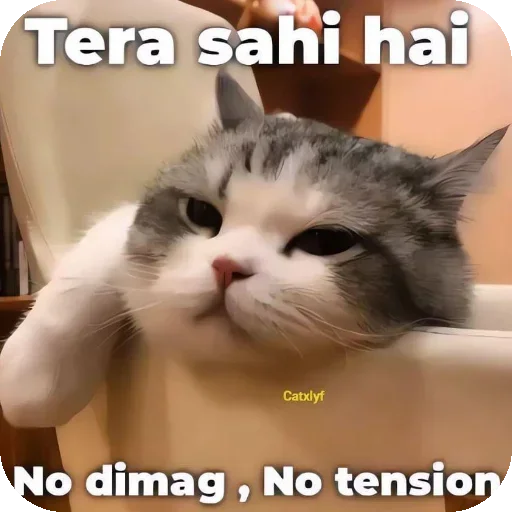 Telegram sticker 😐 🅥︎𝓲𝘳ꪖ𝓽  <𝟑Ⓗ︎