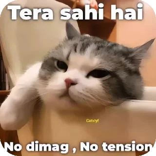 Video sticker 😐 🅥︎𝓲𝘳ꪖ𝓽  <𝟑Ⓗ︎
