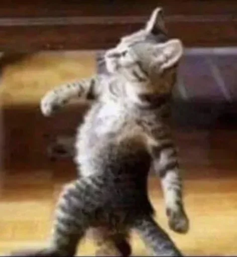 Телеграм стикер 😗 Fav by @AbhishekGunwal