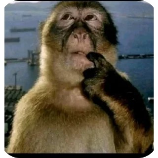 Video sticker 🖼 Больше стиков тут: @stikery4