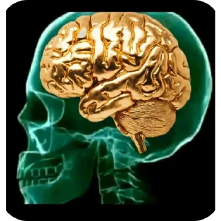 Video sticker 👍 Больше стиков тут: @stikery4