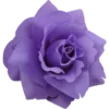 Sticker 🌹 violet ➜ @emoji1