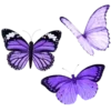 Sticker 🦋 violet ➜ @emoji1
