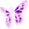 Sticker 🦋 violet ➜ @emoji1