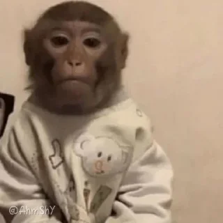 Telegram sticker 🐵 - ᗷY @ahMshY 𓉮 . Monkeys