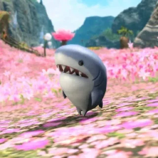 Video sticker 🦈 Shark🦈