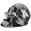 Video sticker 💀 Metallic • @TgEm...