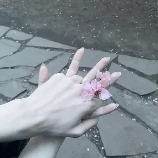 Sticker 🌟 @bAbkaaZpy