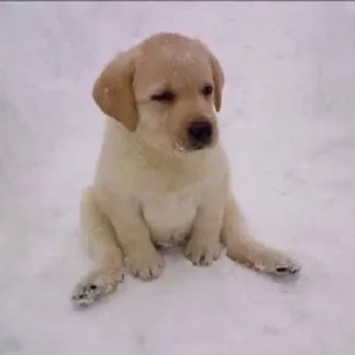 Telegram sticker 🌟 @bAbkaaZpy