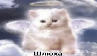 Telegram stiker 🥴 axjzer